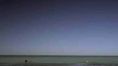 The best tampon ad I've ever seen