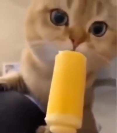 Vine boom sound effect