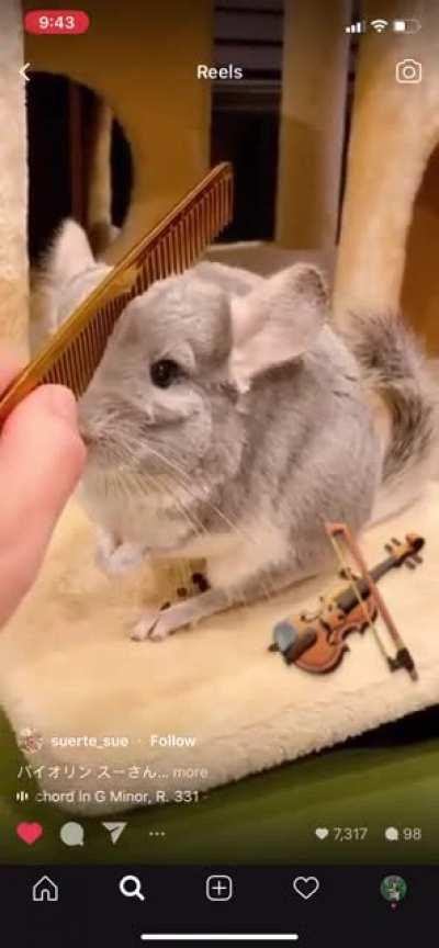 SiCK hUMaN sAWs aNImaL iN hALf