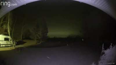 There is a deer, a spider web…and floating spec of something in the middle. It seems to fly around and then split into 3 before disappearing.