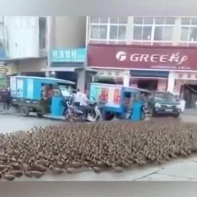 Começou a revolução