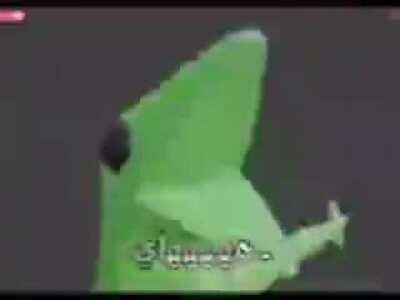 Hey! I'm back! Not sure if this counts?