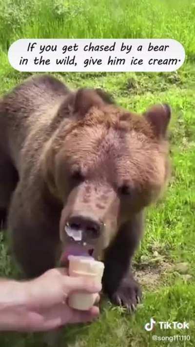 In Russia bear only want ice cream (credit to @song111110 on tiktok )