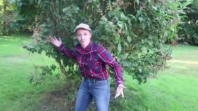 [Poetry] When Your Dad Gives You Wood