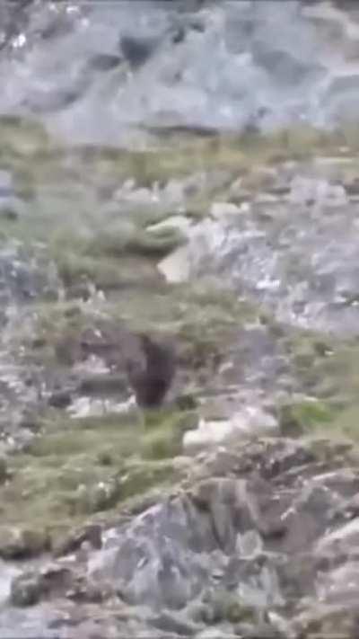 Next week on stock market