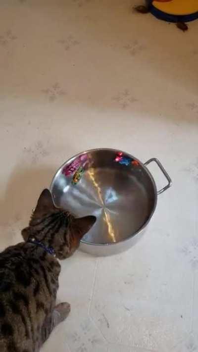 Tap the Robot Fish...