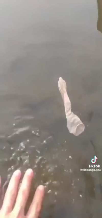 Bo Jackson’s used condom