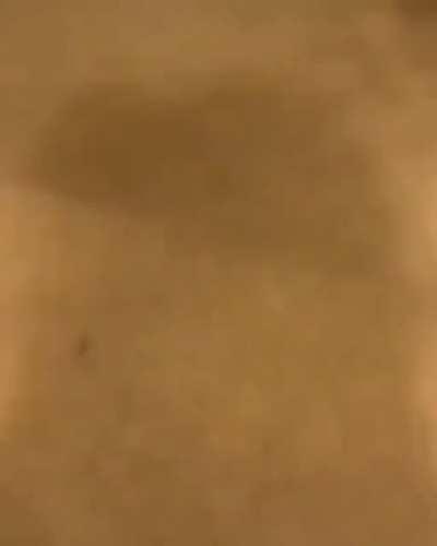 A real chad right here