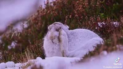 !!!!! IMPORTANT VIDEO !!!!! MUST WATCH !!!!!