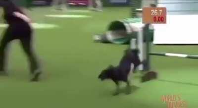 Ele segurou o que deu