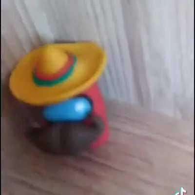 SUS 😲🇲🇽🌮