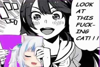 CatShark CatShark CatShark