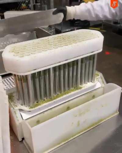 Já estão industrializando...