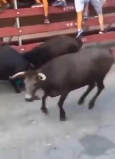 watcha watcha watchaaa !