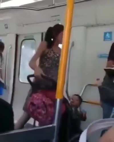 Incidente registrado en el tren, una criatura lloraba mientras la madre estaba al teléfono y fue increpada por una mujer