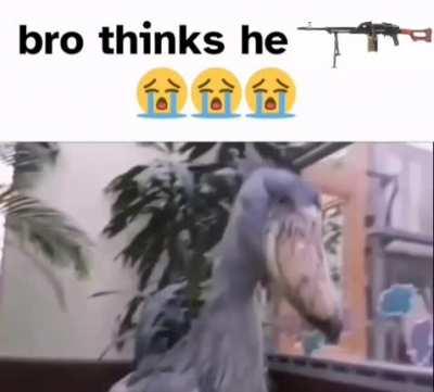 BLUD IS NOT A PKM 🗣️🔥😭