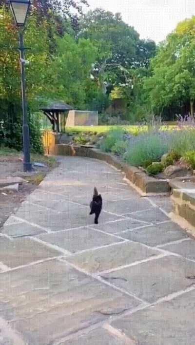 Where is he going like that?