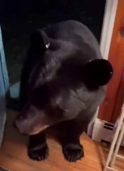 Простите, не туда зашёл...