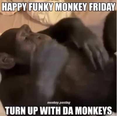 pain monkey friday ):