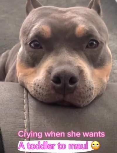 ok pibble, mommy will get you a 4 year old to eat😘