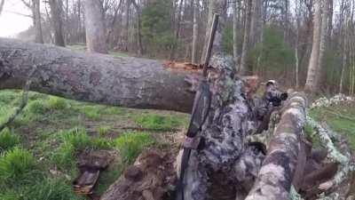 Turkey hunter gets shot in the leg by another turkey hunter.