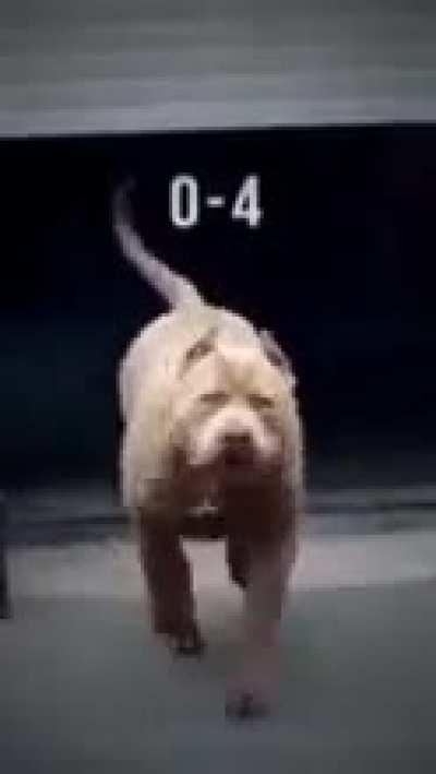 I'm 15 and this is yeet