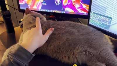 My keeb is broken (audio)