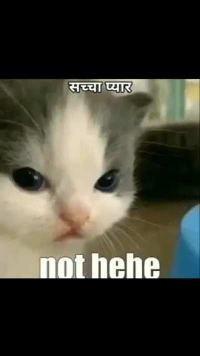 Thand ho rahi bohot bhayankar Mummy bhej de