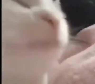 Best song from Private room and you can't change my mind