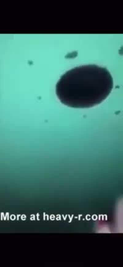 Tell me who is more trashy!...the perv,or the firestarter.