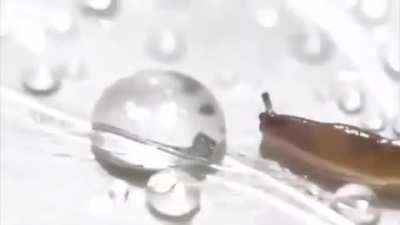 slug rule but now it has the bwaaaoh sound effect