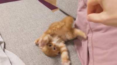 Defense position: derp