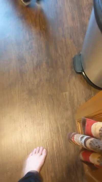 POV every morning when I get his food ready....