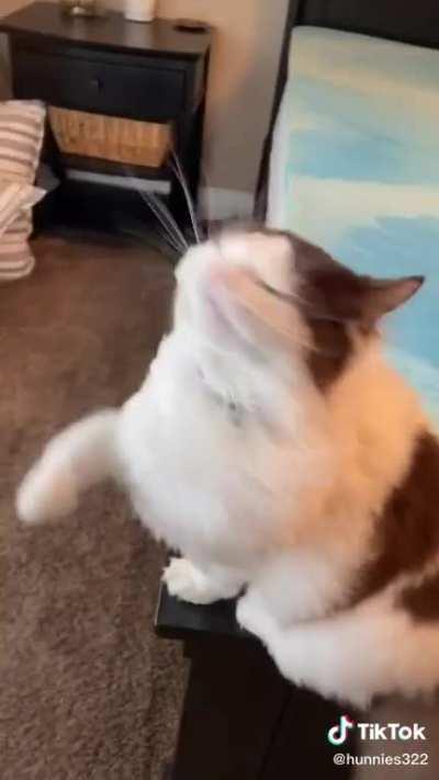 Test flight in the new state of the art wind tunnel