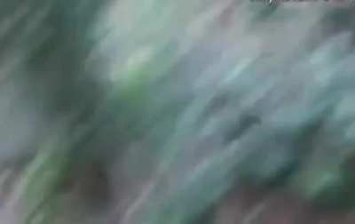 who is she? asking for a friend...