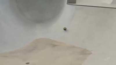 Haven't used the bowling flair in a while!