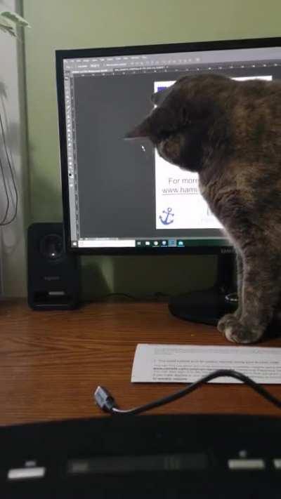 She still hasn't realized the mouse isn't real