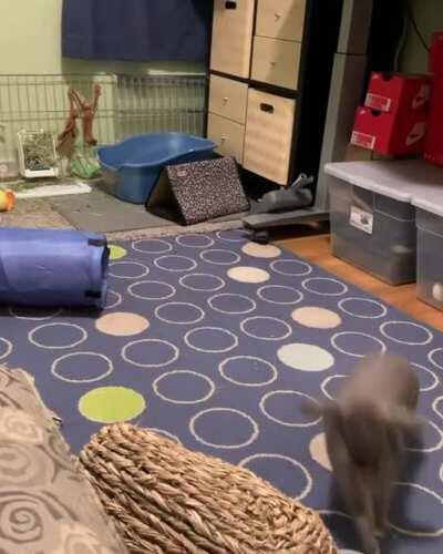 Gary, trying to get going on a Saturday morning