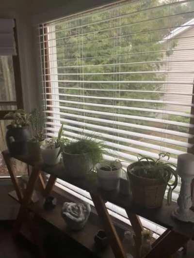 Some beautiful rain on the Monday morning.