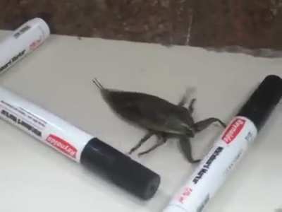 we should have music taken in this