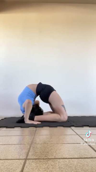 🐄💗 PAWG COMP 💗🐄