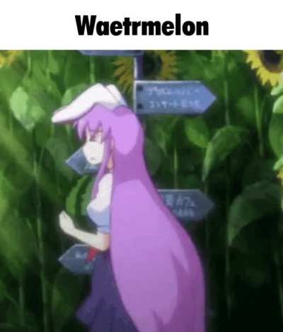 Watermeoln