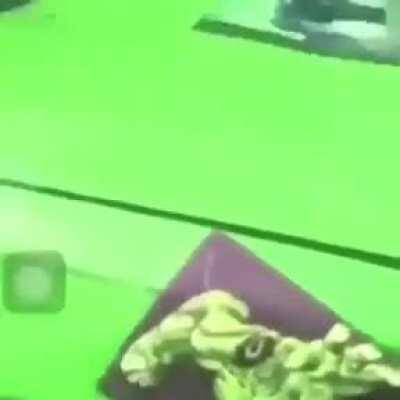 I don't know who tf Da Baby is but this place knows how to make good shitposts