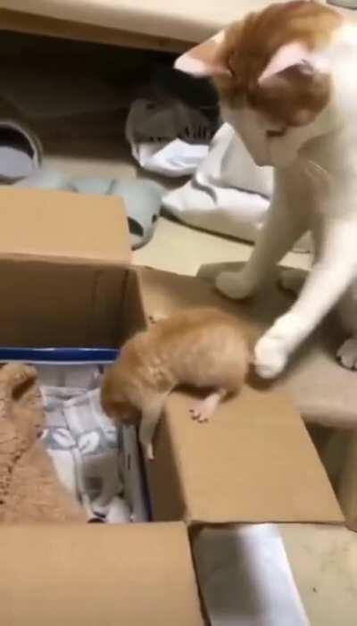 it sucks when parents dont have patience