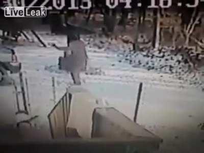 WCGW trying to attack a cat