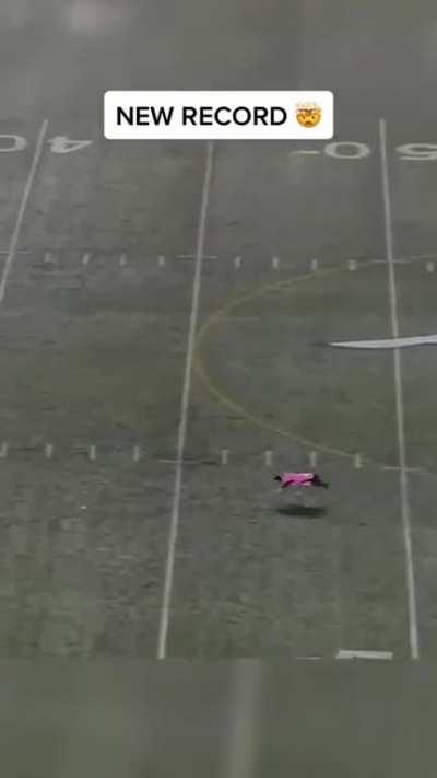 world record of longest catch by a dog in a sporting event