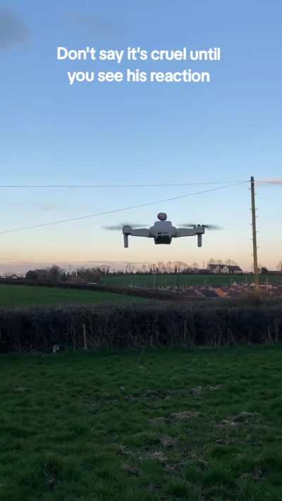 Wunk sees the vastness of the world for the first time