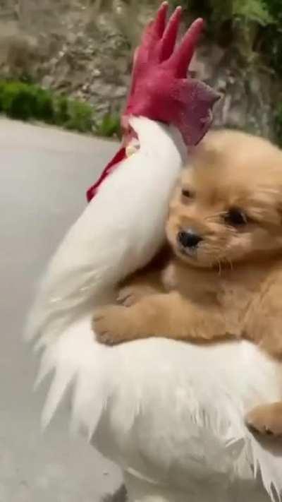 this Removes 99.98% of eye stains