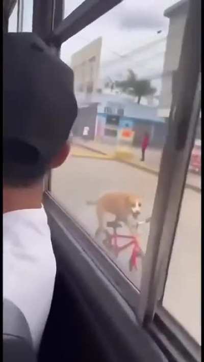 dgcusbrbtbkaiwbfb!!!!?!?!?!?!?