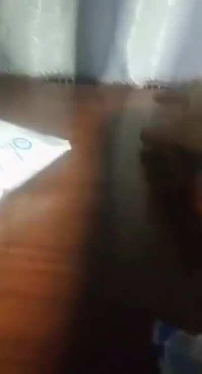 ...how to keep the mini sunroof open